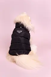Жилетка Prada зі знімним капюшоном XS