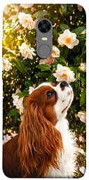 TPU чохол Demsky Flower spaniel для Xiaomi Redmi 5 Plus / Redmi Note 5 (Single Camera)