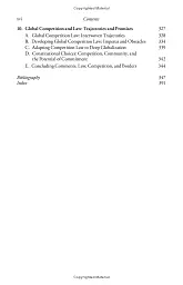 Global Competition. Law, Markets, and Globalization - David Gerber - миниатюра 5