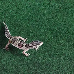 Килимок-субстрат Repti-Zoo Carpet Mat 30x30 см (EC06) для тераріуму, пустельних і тропічних рептилій - мініатюра 9