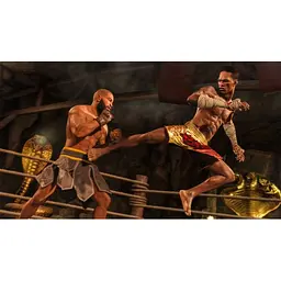 Гра UFC 4 (російські субтитри) (Xbox One) - мініатюра 5