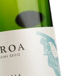 Вино ігристе Vallformosa Proa Cava Semi Seco біле напівсухе 0.75 л - мініатюра 3