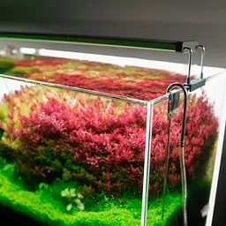 Світильник Chihiros B-Series B60 LED 60-80 см розумне RGB-освітлення для акваріума - мініатюра 5