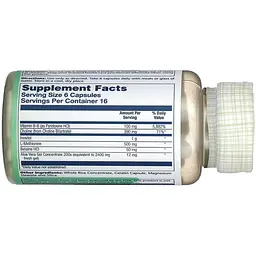 Ліпотропік Solaray Lipotropic + 1000 100 капсул - мініатюра 3