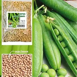 Горох Весна Кормовий 500 г (23887) - мініатюра 2