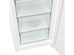 Морозильна камера Gorenje FN619FEW5 - мініатюра 4