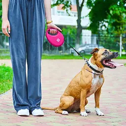 Повідець-рулетка для собак Waudog R-leash з контейнером для пакетів, світловідбивна стрічка, L, до 40 кг, 5 м, рожевий - мініатюра 8