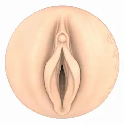 Мастурбатор Fleshlight Fantasy Sasha Nakamoto Ecchi (бежевий) - мініатюра 4