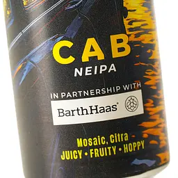 Пиво світле нефільтроване Forever CAB 0.5 з/б - мініатюра 5