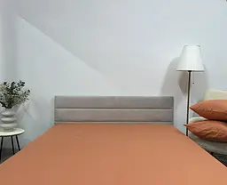 Простирадло на резинці Ecotton 160х200 см Ecotton помаранчевий Orange 24568 (24568)