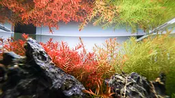 Калій в таблетках Aquario Neo Tabs Plant K - мініатюра 5