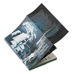 Повість Артура Ґордона Піма з Нантукету - Едгар Аллан По | Verba Publishing, книга українською, нова, тверда - мініатюра 2