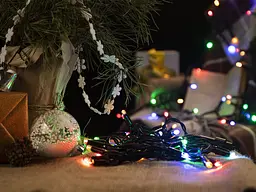 Електрогірлянда BPNY зовнішня кольорова 100 LED 10 м (102964) - мініатюра 2