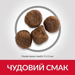 Сухий корм Hill’s SP Puppy Medium Breed для цуценят середніх порід з ягням і рисом 14 кг - мініатюра 4