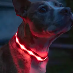 Нашийник для собак UFT PET LED 1 Red L з підсвічуванням на батарейках - мініатюра 3