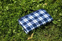 Плед Ardesto Picnic 130х170 см 100% поліестер клітинка синій pbe0050456 - мініатюра 4