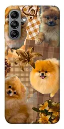 TPU чохол Demsky Spitz aethtetic для Samsung Galaxy A04s