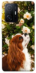 TPU чохол Demsky Flower spaniel для Xiaomi 11T / 11T Pro