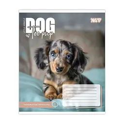 Зошит Yes Dog too pup А5 12 аркушів лінія (768732), в асортименті - мініатюра 3