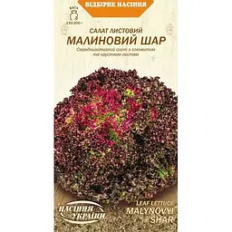 Насіння Салат листовий Насіння України Малиновий шар 1 г (624500)