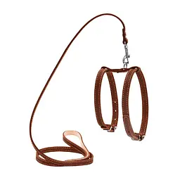 Шлея CoLLaR з повідцем для дрібних собак (2005476000002)