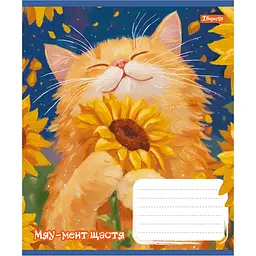 Набір зошитів 1 Вересня Sunny cat А5 12 аркушів у лінію 25 шт. (768769) - мініатюра 4