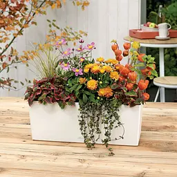 Вазон Lechuza Balconera Color 50/19/19 білий (15670) - мініатюра 3