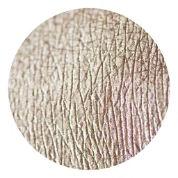 Розсипчасті тіні Sinart Make-Up With Passion тон 65 (Bright Khaki) 1 г - мініатюра 2