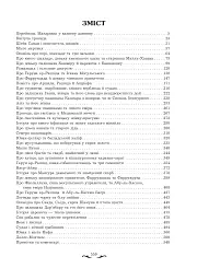 Квітуча троянда. Вибрані перські оповідки й казки - мініатюра 11