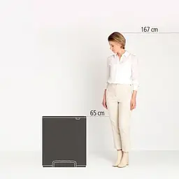 Бак для сміття Brabantia Bo 2х30 л (211461) - мініатюра 11