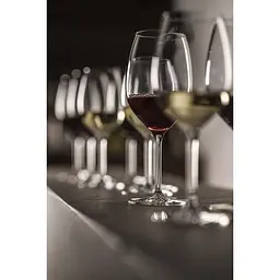 Набір келихів для білого вина Schott Zwiesel For You 368 мл 4 шт. (121871) - мініатюра 4