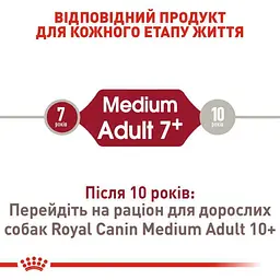 Сухий корм для старіючих собак Royal Canin Medium Adult 7+, 15 кг (3005150) - мініатюра 7