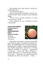 Знайомі незнайомці та їхні цілющі соки - Світлана Морозюк - мініатюра 12