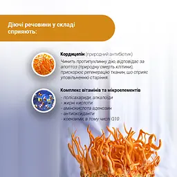 Дієтична добавка Кордицепс Супер 60 капсул - мініатюра 6