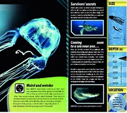 iExplore. Ocean Monsters - мініатюра 6