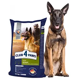 Сухий корм для робочих собак середніх та великих порід Club 4 Paws Premium Scout Adult, 14 кг (B4531001) - мініатюра 2