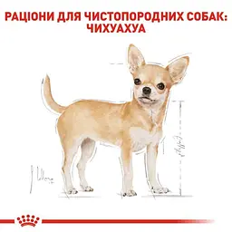Набір вологий корм Royal Canin Chihuahua Adult для собак породи Чихуахуа 1.02 кг (12 шт. х 85 г) - мініатюра 4