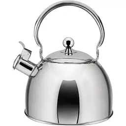 Чайник Zauberg 3 л сріблястий (000033537)