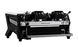 Мультибойлерна професійна кавомашина Wendougee Sdragon-SAT Espresso Machine 2GR - мініатюра 2