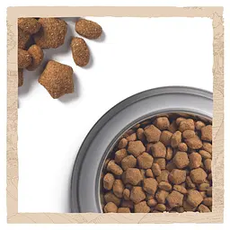 Сухий корм для собак з чутливим травленням Dog Chow Sensitive Adult 1+, з лососем, 2,5 кг - мініатюра 7