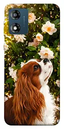 TPU чохол Demsky Flower spaniel для Motorola Moto E13