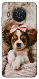 TPU чохол Demsky Sleepy spaniel для Nokia X10 / X20
