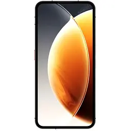 Мобільний телефон OUKITEL WP210 12/512GB Black (6941749819949)