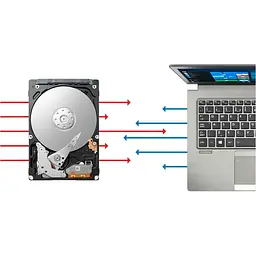 Жорсткий диск 2.5" Toshiba L200 1TB SATA 128MB [HDWL110UZSVA] [140852] - мініатюра 3
