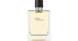 Туалетна вода чоловіча Terre D', 100 ml