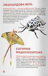 Велика книжка. Комахи - Олег Зав'язкин - мініатюра 3