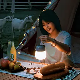 Антимоскітна лампа фумігатор для кемпінгу Xiaomi NexTool NE20193 Таймер, Ручка, 120 lm, 3600 мАг - мініатюра 7