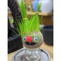 Набір для вирощування UFT Grow Grass man Трав'янчик UFTGG - мініатюра 5