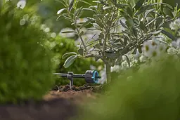 Крапельниця Gardena Micro-Drip-System кінцева вирівнююча тиск 1-8 л/год, 5 шт (13304-20) - мініатюра 3