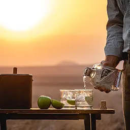 Джин Elephant Gin London Dry 45% 0.5 л - мініатюра 5